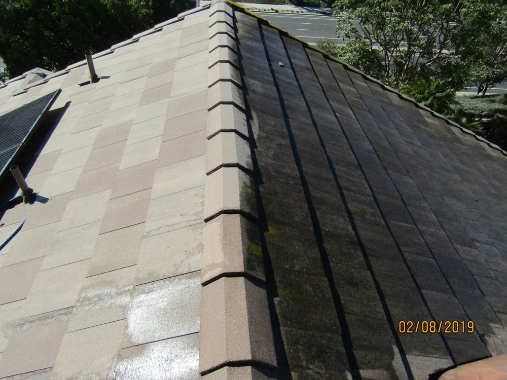 Roof Cleaning Before & after